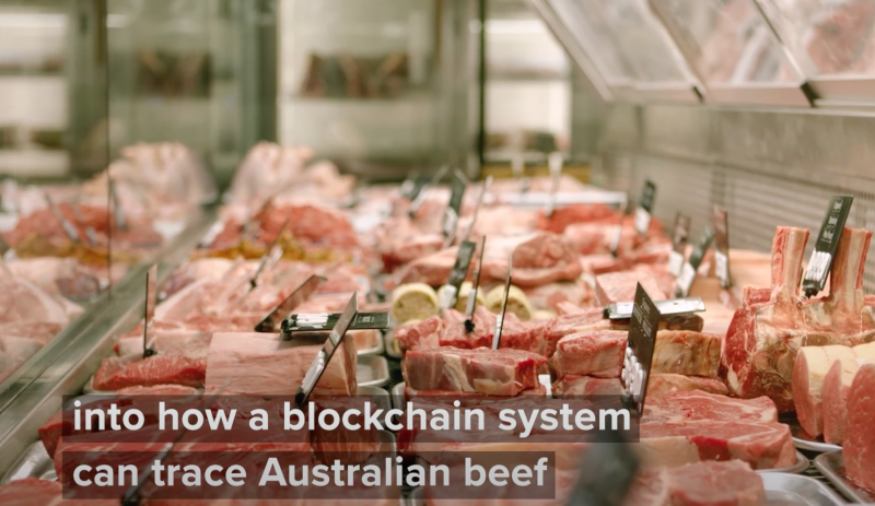Blockchain focus for smart trade hubs